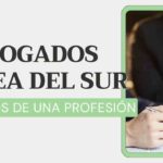 abogados corea del sur